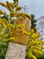 Miód NAWŁOCIOWY 1kg ZBIÓR 2025r Pasieka U Antosia