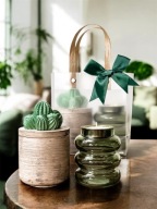 Swieca sojowa w pojemniku z kaktusem Na prezent