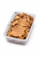 Suszone liście dębu czerwonego 5l- pokarm dla isopodów/krocionogów