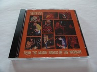 NIRVANA - FROM THE MUDDY BANKS OF THE WISHKAH -CD- JAK NOWA