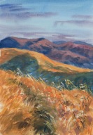 Akwarela Sabina Salamon 29x42 pejzaż bieszczady góry