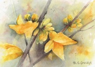 Kwiat , kwiaty forsycje - akwarela z passe - partout