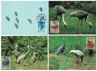 08-GK18- Korea Południowa,WWF,1988, Ptaki-Żurawie
