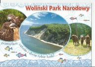 WOLIŃSKI PARK NARODOWY POMORZE ZACHODNIE