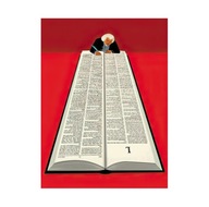 Plakat „Mędrzec i Księga” – Artystyczna Ilustracja Surrealistyczna