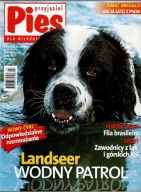 Przyjaciel Pies 7/2007