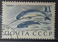 Ryby (kas) - luzak - do uzupełnień 13/8