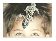 Pocztówka - Chłopiec i gekon lamparci / jaszczurka