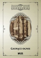 Gasnące ognie. Podróż po Palestynie, Syrii, Mezopotamii F.A.Ossendowski