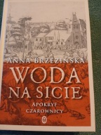 A.BRZEZIŃSKA WODA W SICIE APOKRYF CZAROWNICY BDB