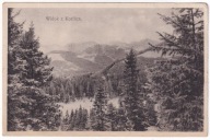 TATRY z Kozińca 1919 obieg ogniomistrz Poczta Polowa do Nowy Sącz Wólki 39