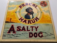 PROCOL HARUM - A SALTY DOG / SHINE ON BRIGHTLY / 2LP