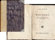Wolność 1920 Maciej Wierzbiński Czas odrodzenia Wielkopolska rok 1918