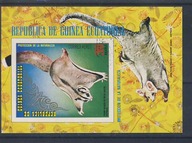 Fauna flora bl tematyczny