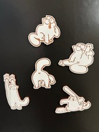 Magnesy Koty 3D – limitowana kolekcja ze „Świata Magii 3D”