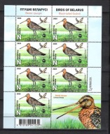 Białoruś 2025, ark.7zn.+PRZYW. ptaki, bekas rycyk