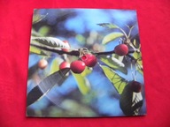 HAPPY END zza siedmiu gór / chyba może być tak POCZTÓWKA DŹWIĘKOWA