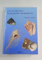 Atlas muszli ślimaków morskich Andrzej Samek