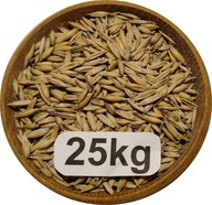 Owies Ozimy, Biały, Od Rolnika 25kg, 2025r