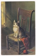 Kot koty na krześle ok.1910r.