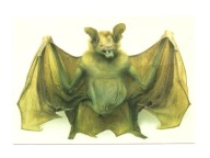 Pocztówka - Widmowiec wielki / nietoperz-wampir