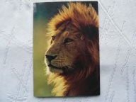 AFRYKA DZIKIE ZWIERZĘTA AFRYKI LEW Wydanie Nairobi