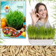 NASIONA OWSA OWIES WIELKANOCNY DLA KOTA KRÓLIKA ZWIERZĄT OZDOBA DEKORACJA