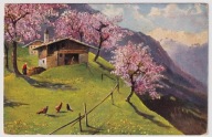 Wieś chaty 1905r. kwitnący sad góry chłopka kury