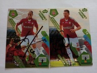 Karty panini autografy Wisła Kraków sezon 14/15