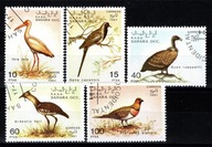Sahara OCC. ( Fauna - Ptaki ) 1991 r.