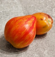 Pomidor Liudmila’s Dream’s (443) nasiona kolekcjonerskie