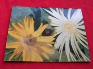 ROMUALD I ROMAN bobas POCZTÓWKA DŹWIĘKOWA AW Ruch 1970 NM-