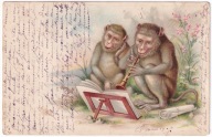 Małpa Małpy Szympansy uczłowieczone z Trąbką 1907r. LITOGRAFIA
