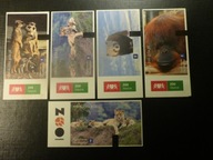 II.Zestaw 5 Biletów Wstępu do Oliwskiego ZOO.z obiegu.