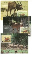 05-MC73- WWF, Fauna,Anyylopy,Żyrafy-9szt-