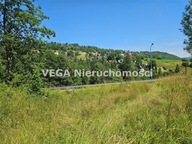 Działka, Zakopane, Tatrzański, 539 m²