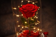 Wieczna róża w szkle LED z płatkami