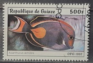 Ryby (kas) - luzak - do uzupełnień 13/7