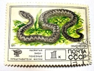 Znaczek pocztowy radziecki 1977 żmija zygzakowata ZSRR CCCP Rosja gady