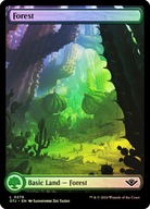 Karta Magic: The Gathering Forest OTJ 276 FullArt *Foil*