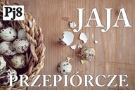 BANER PLANDEKA SPRZEDAŻ JAJKA PRZEPIÓRCZE JAJEK JAJA PRZEPIORCZE 120X80 PJ8