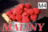 BANER PLANDEKA SPRZEDAŻ MALIN 120X80 M4