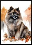 A2 59,4x42 PLAKAT OBRAZ PIES SZPIC WILCZY, KEESHOND, JESIEŃ, AKWARELA