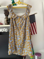 6 zwiewna lato Kwiaty Asos L rośliny rarytas