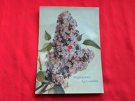 MIANSAROWA zawsze niech będzie słońce POCZTÓWKA DŹWIĘKOWA orłowska-gabryś