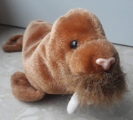 Ty Beanie Babies Foka Paul 1999 maskotka