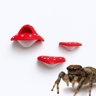 Zestaw Grzybki Kryjówka Na Magnes + 2 Półki Do Terrarium Dla Skakuna Owadów