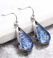 KOLCZYKI prawdziwe kwiaty suszone niezapominajki