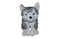 pluszak maskotka piesek uroczy husky Haski Semo