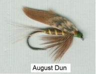 Mokra muszka AUGUST DUN i inne wiosenne pstrągowe - # 8;10;12 - kpl. 6 szt.